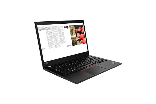 Ноутбук 14" LENOVO ThinkPad T490s, 20NX0076RT, черный